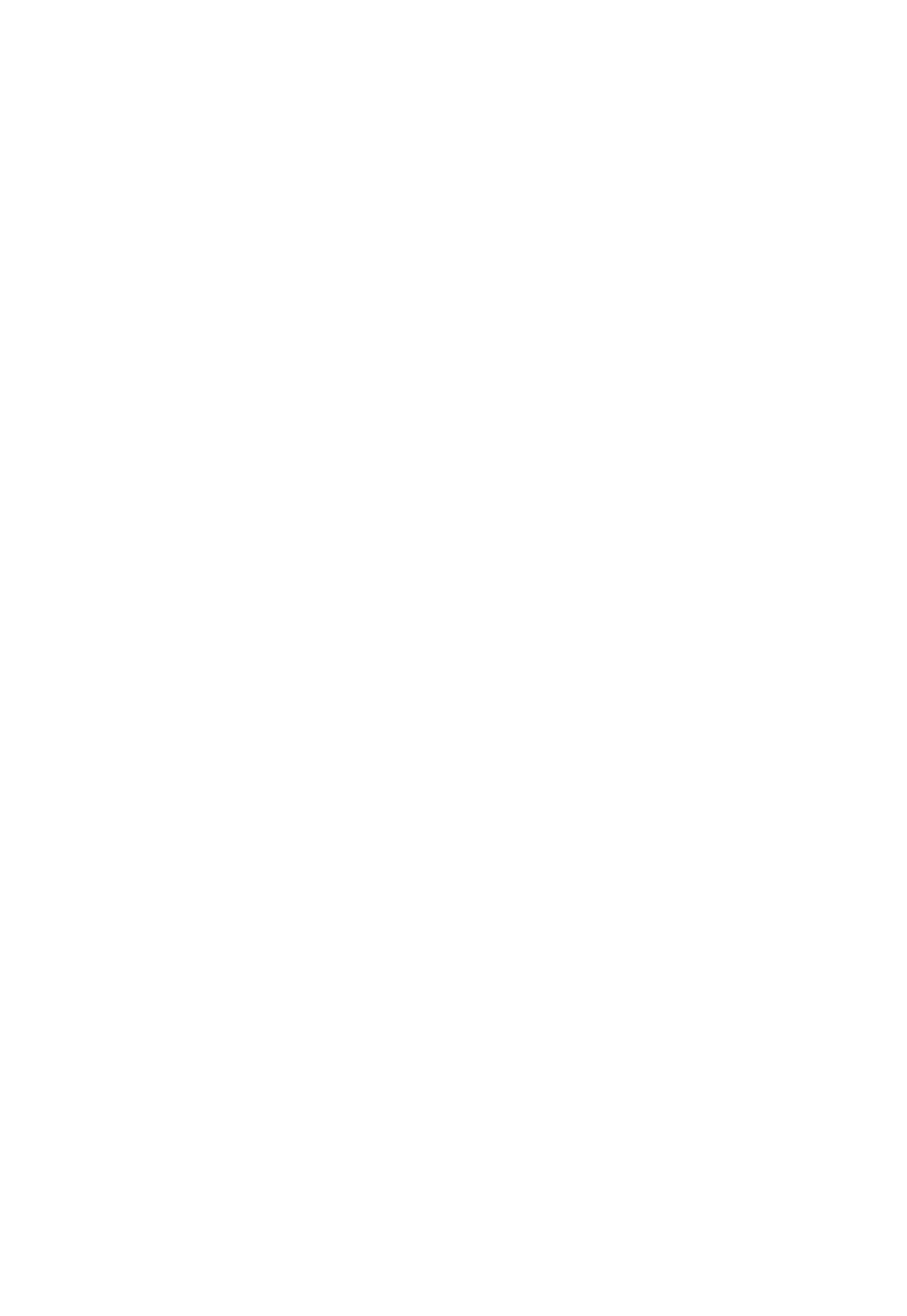 Absolutely Not T-Shirt – Imran Khan Protest Quote Shirt (Vertical Design)